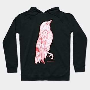 Bird study Hoodie